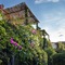 La Jacia Hotel & Resort - map