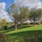 Resort Locanda Rossa - map