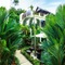 Palm Oasis Boutique Hotel - map
