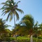 Caribbean Villas Hotel - map