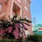 Hotel Villa Rosa - map