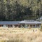 Forest Walks Lodge - map