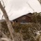 Duck Inn Mt Buller - map