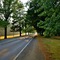 Chestnut Tree Holiday Apartments - map