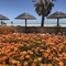 Shark Bay Seafront Apartments - map