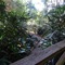 Tamborine Luxury Chalets - map