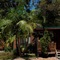 The Palms At Avoca - map