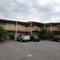 Essendon Motel - map