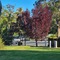 Mallacoota's Shady Gully Caravan Park - map