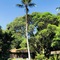 Pousada Praia Da Crena - map