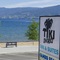 Tiki Shores Inn & Suites - map