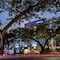 City Express Plus By Marriott Cali Colombia - map