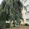 Airport Apartment Köln Bonn - map