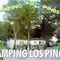 Camping Los Pinos - map