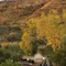 Discovery Parks - Alice Springs - map