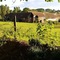 Winchelsea Lodge - map