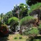 Berlian Abadi Hotel By Sinergi - map