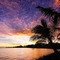 Sheraton Samoa Beach Resort - map