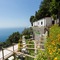 Holidays Fico D'india - map