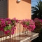 Il Girasole Capo D'orlando - map