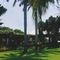 Mount Sea Resort - map