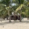 Modessa Island - map