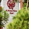 Al Murjan Palace Hotel - map