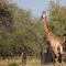 Tshukudu Game Lodge - map