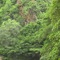 Leopard Mountain Safari Lodge - map