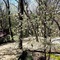 5 Ojo Inn Bed And Breakfast - map