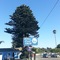 Blue Seal Inn - map