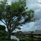 Mekong Riverside Boutique Resort & Spa - map