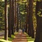 Gideon Putnam Resort And Spa - map
