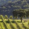 Cordevalle - map