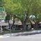 Trees Motel - map