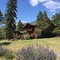 Rocky Mountain Lodge - map