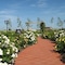 Hotel Garden Club - map