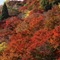 Ryokan Kato - Yoshino - map