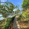 Koh Mak Buri Hut Natural Resort - map
