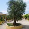 Racar Hotel & Resort - map