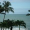 Turtle Cove Beach Resort - Adults Only Lgbtqia & Allies - map