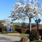 Hume Country Motor Inn - map
