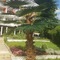 Elit Hotel Balchik - map