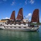 Halong Paloma Cruise - map