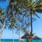 Turtle Bay Beach Club - map