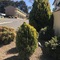 Hideaway Motor Inn Armidale - map