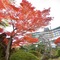 Hotel Matsushima Taikanso - map