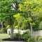 Quality Apartments Banksia Gardens. - map