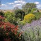 Strathearn Park Lodge - map