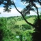 The Falls Rainforest Cottages - map